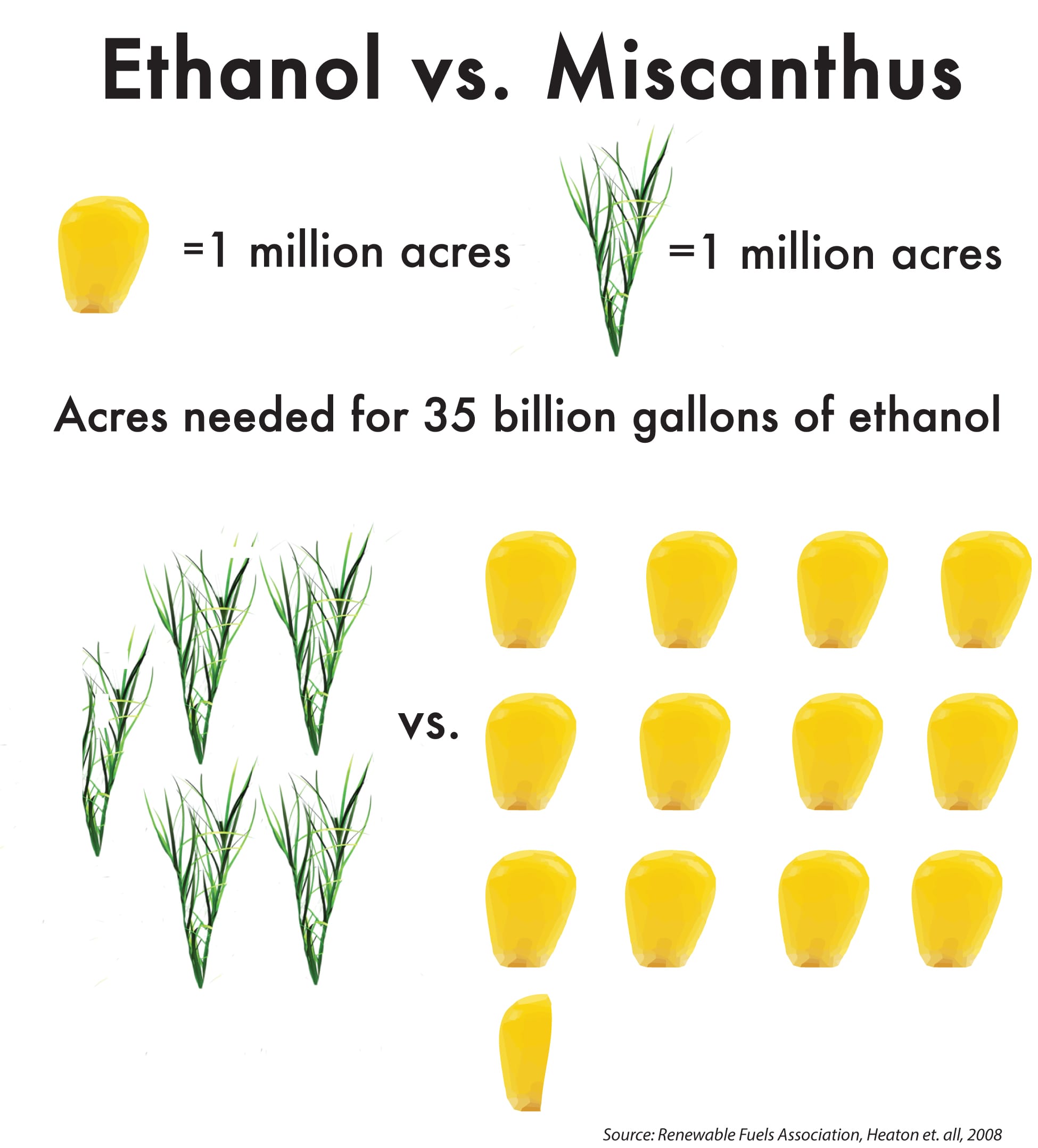 Shown here, miscanthus can yield much more in terms of renewable fuel per acre than corn. Click on the image to enlarge it.