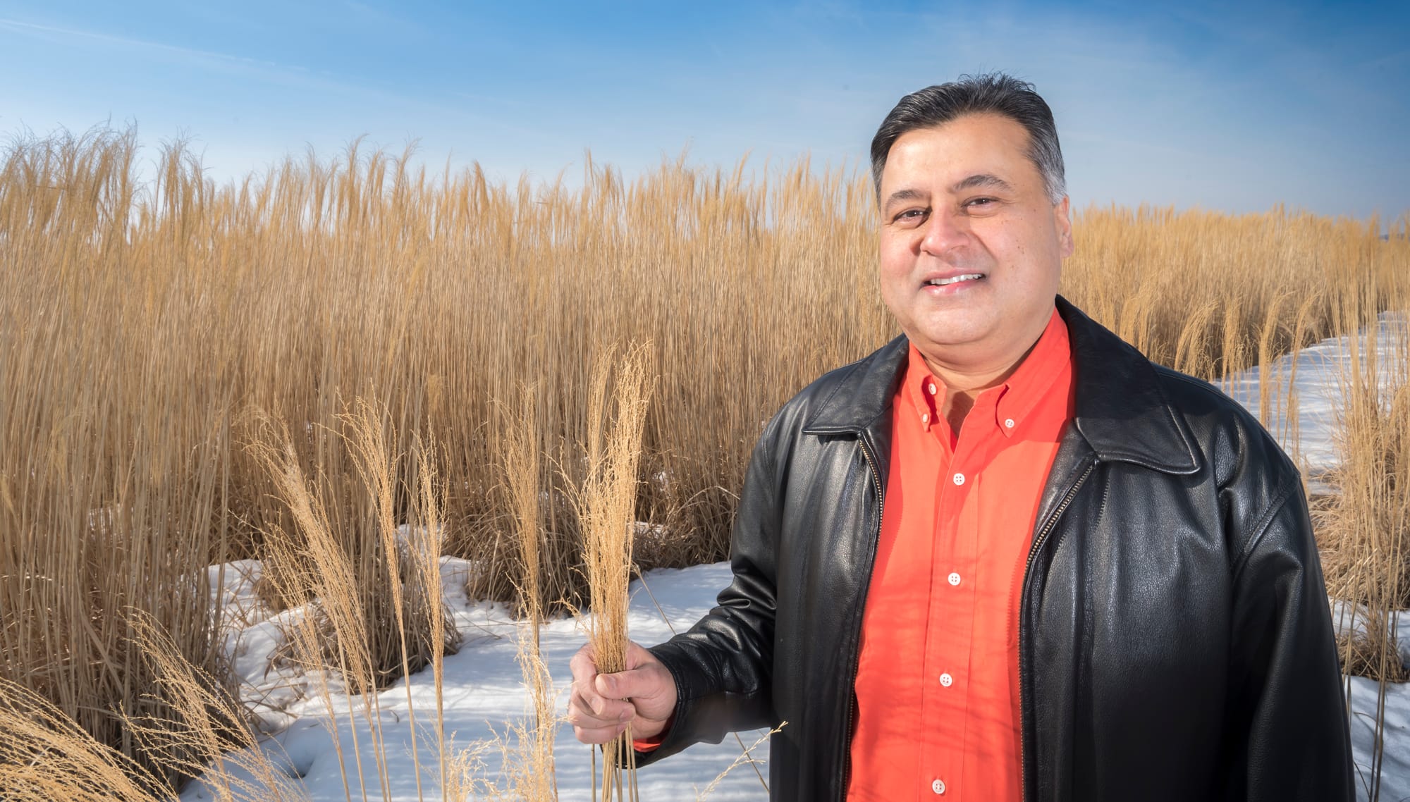 University of Illinois at Urbana-Champaign faculty member Jay Kesan at the UIUC biofuels research plot south of Urbana, Ill., on March 9, 2015.