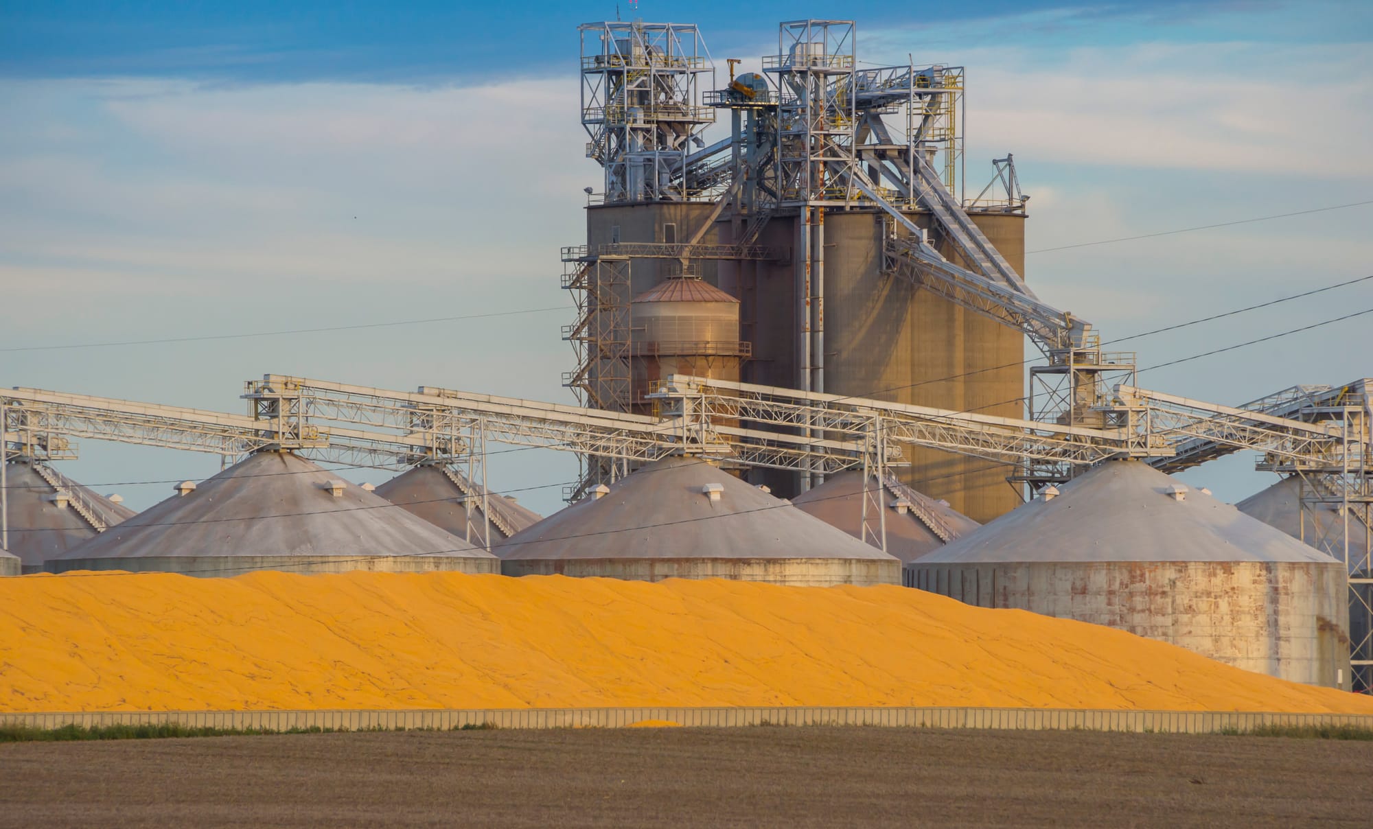 The 2013 corn harvest was, at the time, the top-yielding year on record, according to the U.S. Department of Agriculture. The 2014 harvest broke that record. As yields rose and silos overflowed, grain handlers had to store grain on the ground in large piles.