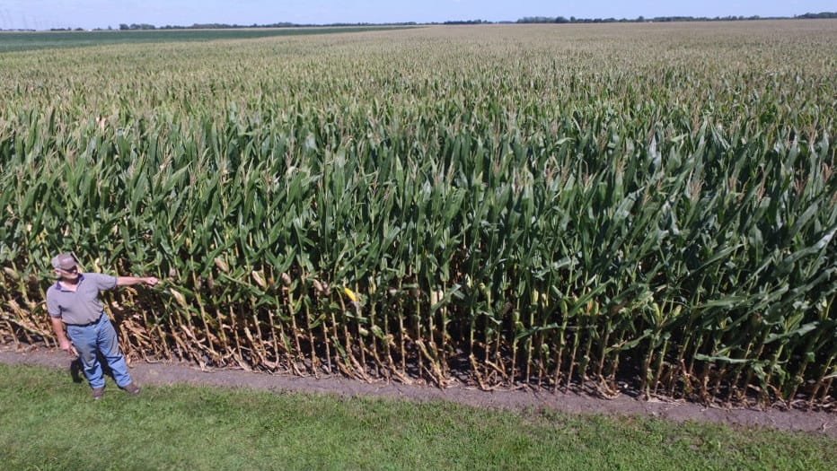 Paul Jeschke stands next to a corn field on his farm near Mazon, Ill., on Aug. 20, 2015. The U.S. Department of Agriculture projected that the 2015 corn harvest will be among the largest on record.