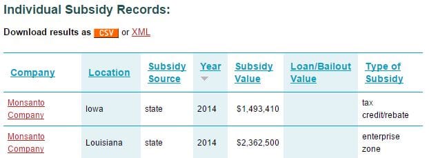 A screen grab of the Good Jobs First subsidy tool.