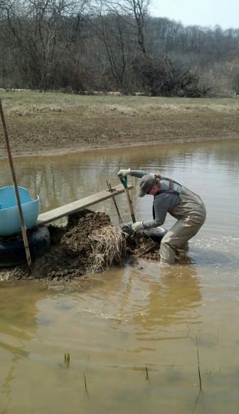 Ann Wolf uses several topsoil conservation practices at her eastern Iowa farm near Miles. Among them, she is restoring a stream bank.