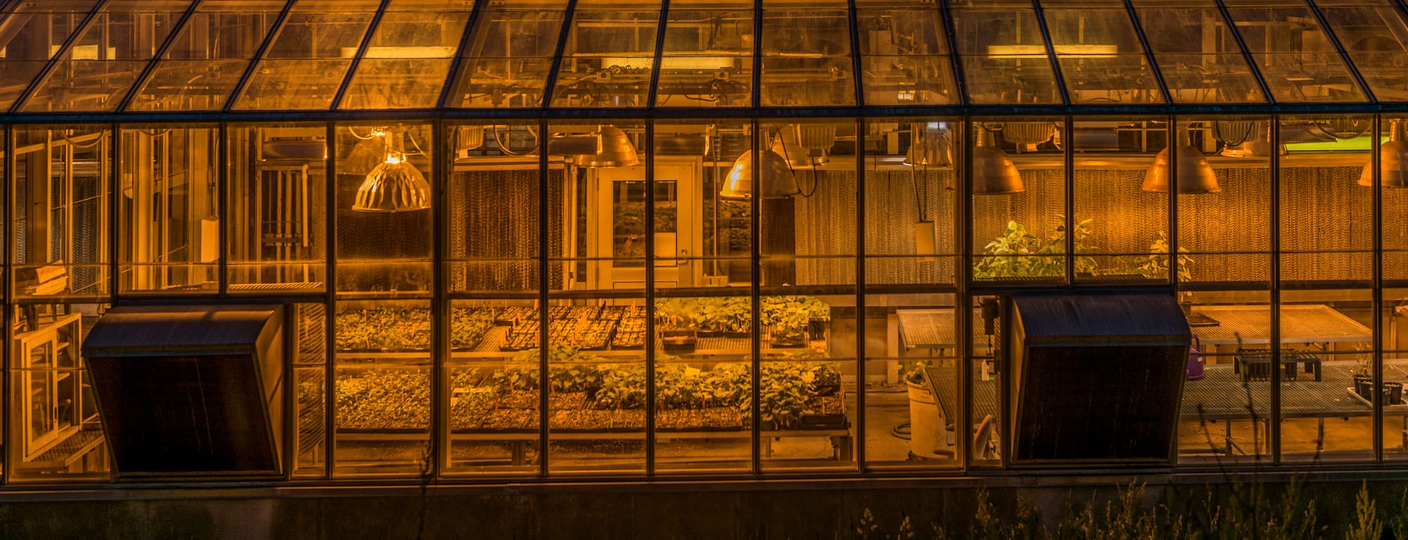 The American Farm Bureau Federation says growers in more than 20 states have contacted it about H-2A processing delays. The delays left some agriculture operations without workers to care for and pick crops, officials say.