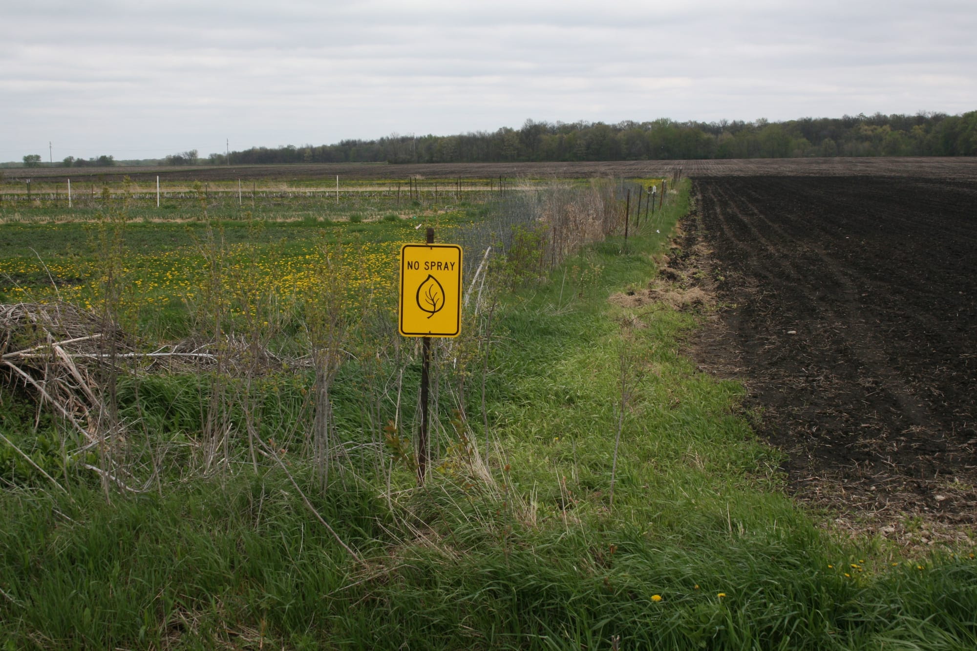 A sign bordering Rob and Tammy Faux’s property outside of Tripoli, Iowa.