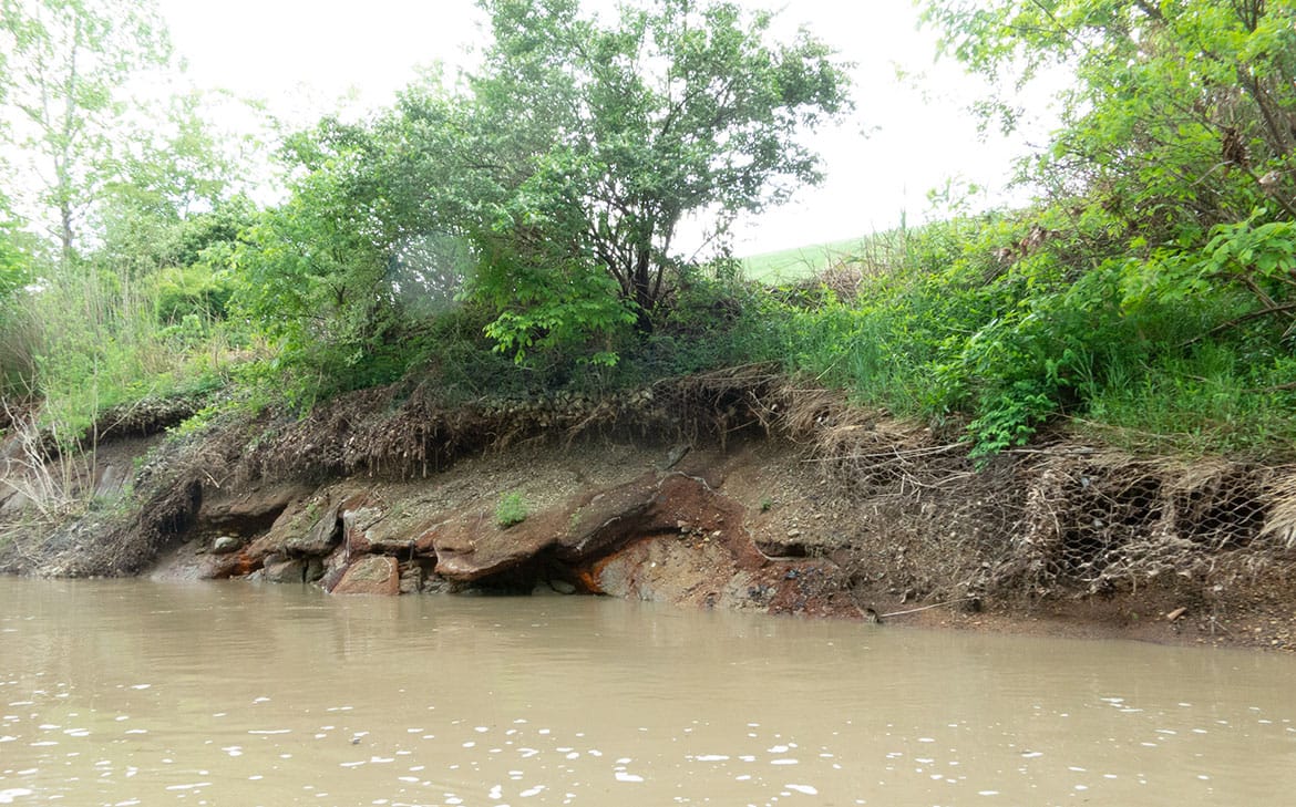 Erosion of the riverbank of the Middle Fork under the coal ash ponds