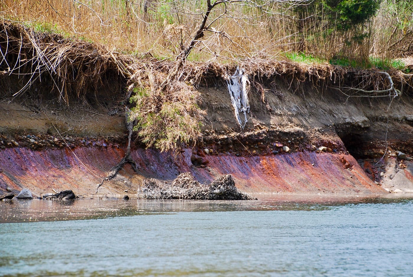 Coal ash seeps on the bank of the Middle Fork River