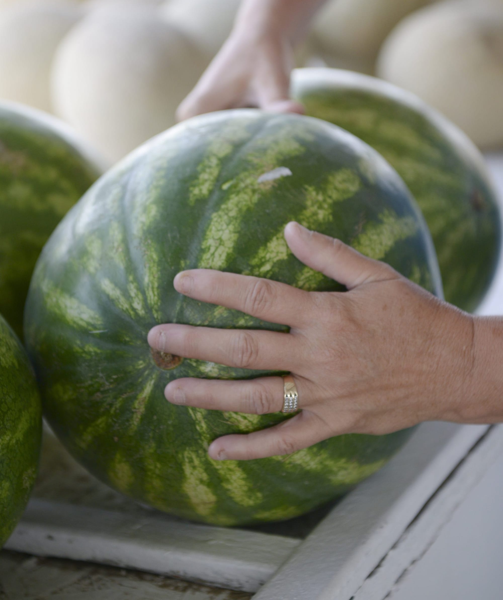 These farmworkers were forced to labor on empty stomachs