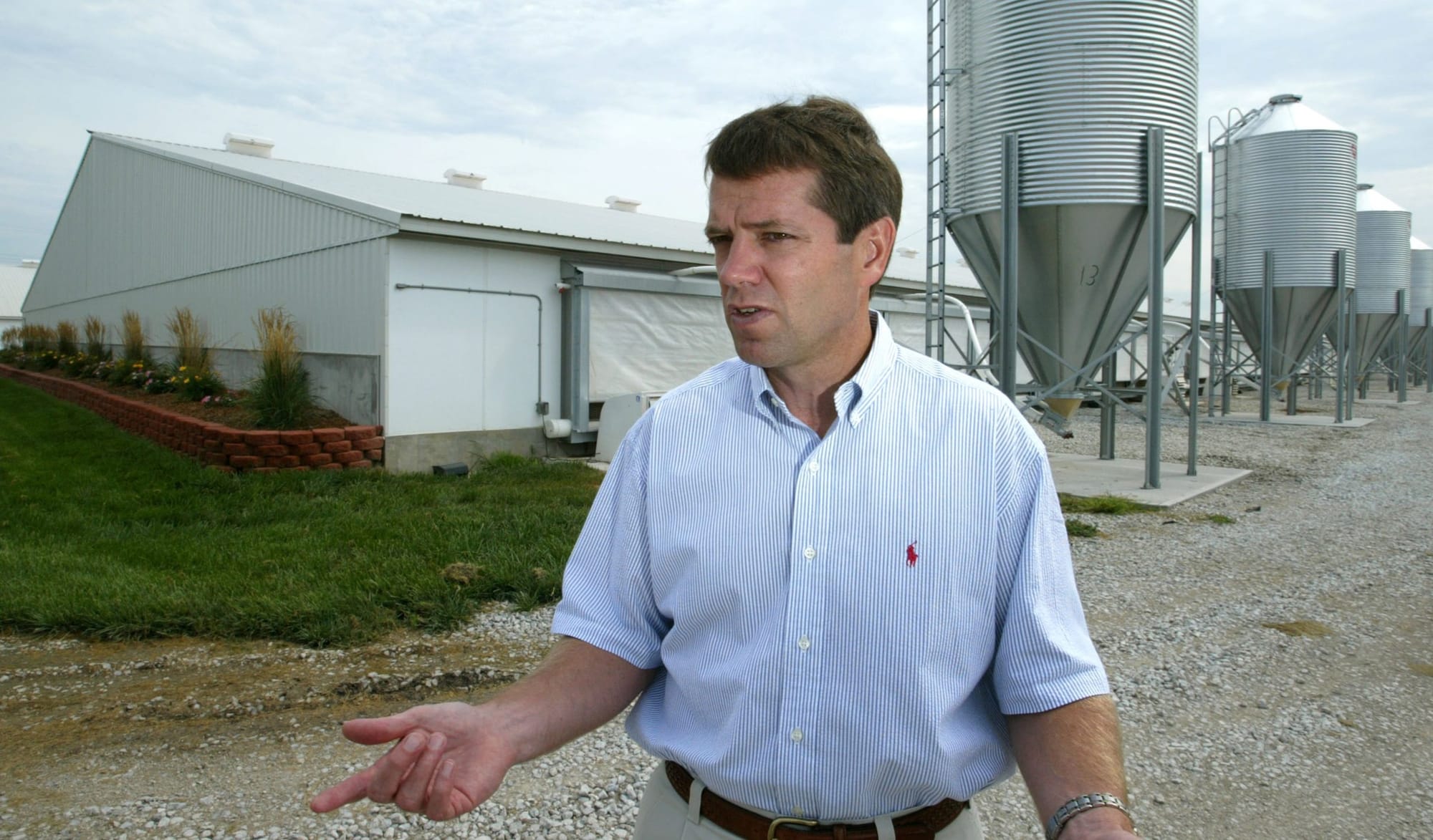Pigs and Power, Story 1: What you need to know