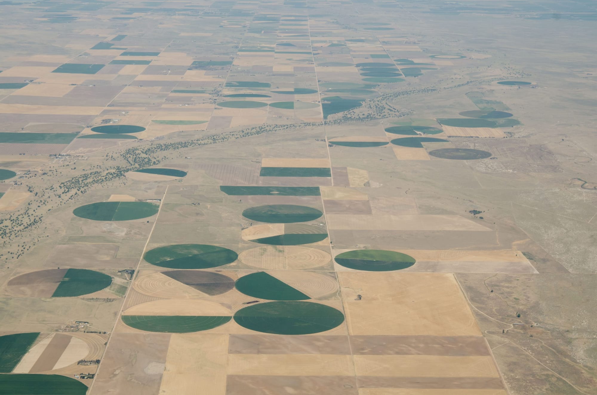 A new network of attorneys fights the abuses of industrial agriculture. First up, Colorado.