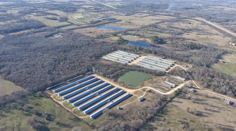Fact-checking claims made about Oklahoma’s lawsuit against Tyson Foods