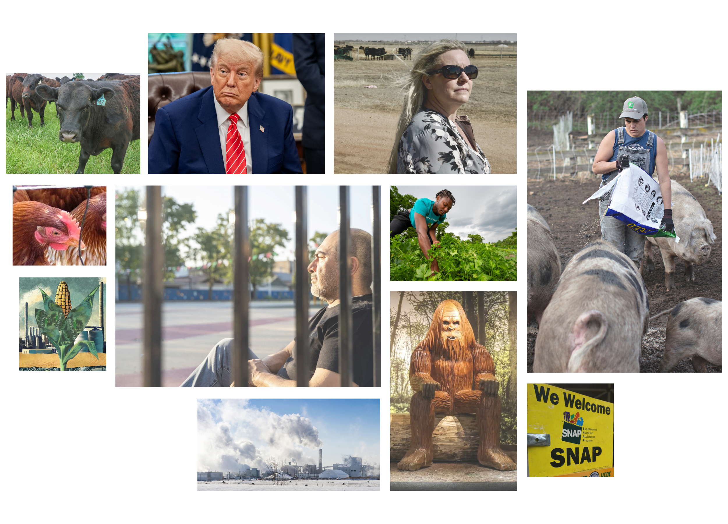 Our biggest stories in 2025