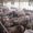 Iowa’s true livestock footprint sized up