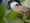 Farmworkers face dangerous pesticides daily