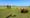 Five things to know as data centers spread across rural America