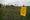 Investigate with us: Cancer and pesticide exposure