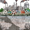 How meatpacking pollutes marginalized areas 🏭