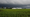 Extreme weather ruins crops, finances