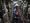 Dairy farming double whammy: Bird flu, milk pricing