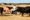 Drought years = smallest beef herd in 61 years