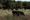 More States Considering ‘Ag-Gag’, Farm Protection Bills