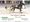 Latitude News explores the "shady trade of American horsemeat"