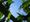 Background on Monsanto Patent Challenge Before the Supreme Court