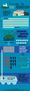 Cracks in the System: The five most common strains of Salmonella