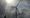 News Quiz: Why Do Wind Turbines Pose Risk For Bats?