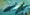 Cargill looks to capitalize on growing global fish demand