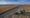SURVEY: We asked farmers how they’re dealing with stress during the COVID-19 pandemic. Here’s what they said.
