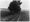 Letter-Writing Robber In 1913: Git That Money Out There