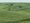 Data-Driven Reporting Project awards Investigate Midwest $50,000 in support of special project on farmland ownership in US