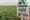 EPA and Bayer had close contact in 2020 reinstatement of dicamba