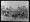 Clayton County, Iowa, Teen Competes In 1927 London Cattle Show
