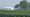 Off-target: A community conversation about dicamba