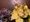 Opinion: Important Lessons Flowers Can Teach Us