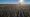 Last Year It Was Dicamba, This Year It’s 2,4-D