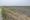 A farm field southwest of Bondville, IL, owned by Augusta Farms, a company based in Brazil on Monday, June 3, 2019.