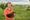 Chicken farming hobby highlights changing industry