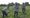 Farm immigration reform aims to aid struggling Midwest dairies