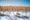 Half of North Dakota’s Corn is still in the field. USDA calls it “on-farm storage”