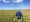 Homegrown relief: Farming communities tackle rise in suicides