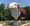 Tips for vitalizing small town Iowa