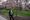 Asexuality in Iowa 'still so unknown'