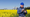 GRAPHIC: With farm business moving online, two-thirds of farmers own a computer