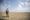 Lost in translation: How USDA barriers leave immigrant farmers and ranchers behind