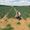 The cost of growth: Fertilizer companies cash in while farmers and communities struggle