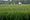 GRAPHIC: Farm bankruptcies hit record low in 2022