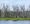 The Mississippi River's floodplain forests are dying. The race is on to bring them back.