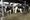 US push to produce methane from manure raises concerns